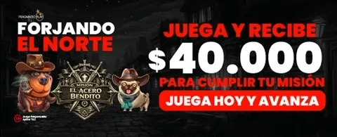Torneo Flash